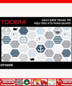 Gạch 30x60 Tocera DP36006 Điểm Trang Trí