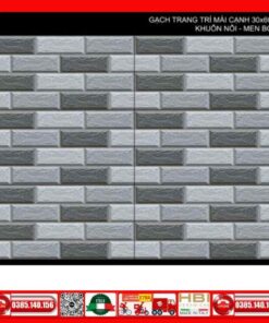 Gạch 30x60 Tocera P36980 Điểm Trang Trí
