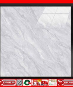 Gạch 60x60 Tocera P66701