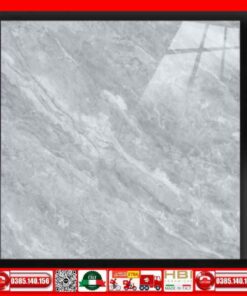 Gạch 60x60 Tocera P66706