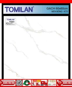 Gạch 60x60 Tomilan F6401 trắng xám khói