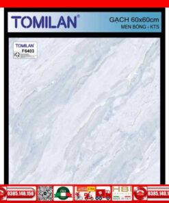 Gạch 60x60 Tomilan F6403 màu xám