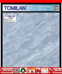 Gạch 60x60 Tomilan F6419