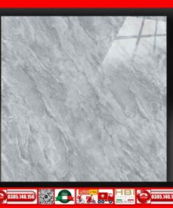 Gạch 60x60 Tomilan F66402