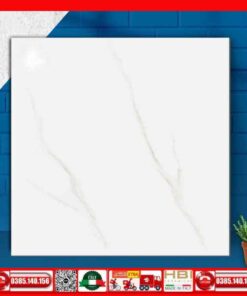 Gạch 60x60 Ý Mỹ DL6802R Trắng Xám Khói