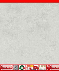 Gạch 60x60 Ý Mỹ F65025RH Xám Mờ