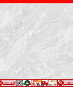 Gạch 60x60 Ý Mỹ F68047R