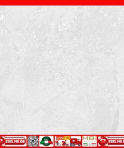 Gạch 60x60 Ý Mỹ F68049R