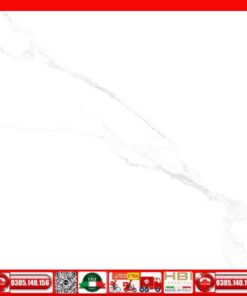 Gạch 60x60 Ý Mỹ F68061R