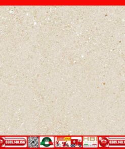Gạch 60x60 Ý Mỹ GHF65002R