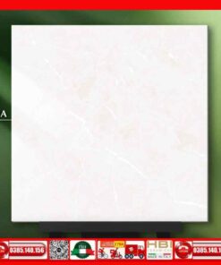 Gạch 60x60 Ý Mỹ GT66B02A