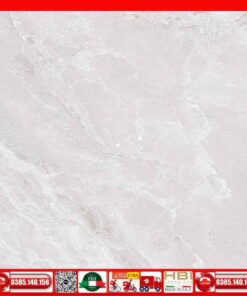 Gạch 60x60 Ý Mỹ N68072R