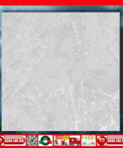 Gạch 60x60 Ý Mỹ NT68801R
