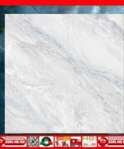 Gạch 60x60 Ý Mỹ NT68803R