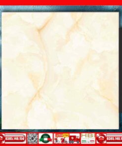 Gạch 60x60 Ý Mỹ NT68804R Đá Vàng