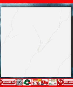Gạch 60x60 Ý Mỹ NT68806R Mây Trắng