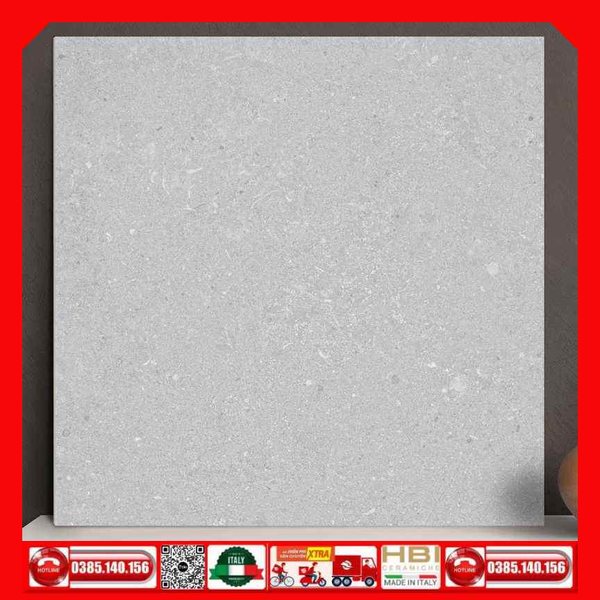 Gạch 60x60 Ý Mỹ P65118R