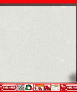 Gạch 60x60 Ý Mỹ P65119R