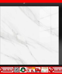 Gạch 80x80 Tocera P8702