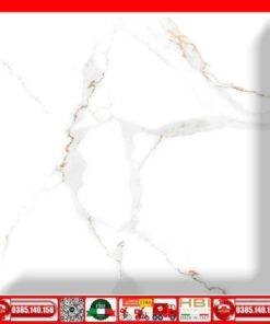 Gạch 80x80 Ý Mỹ P88040RC