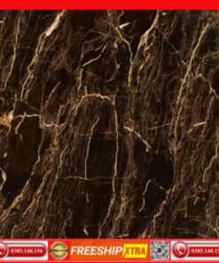 Gạch 60x60 Granite màu nâu khắc kim vàng carving VIN6685