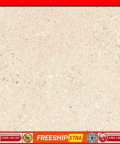 Gạch 60x60 Prime 09236 Terrazzo đá mờ màu kem