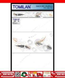 Gạch 30x60 Tomilan FV36409