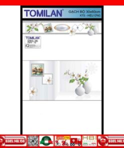 Gạch 30x60 Tomilan FV36410