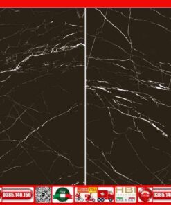 Gạch 60x120 Apodio màu đen tia chớp VIN-61169902