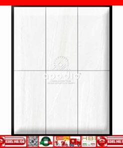 Gạch 60x120 Apodio 61235004
