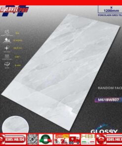 Gạch 60x120 Apodio M61BW807