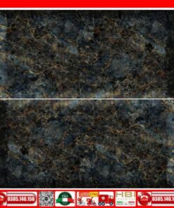 Gạch 60x120 Apodio M61LD902