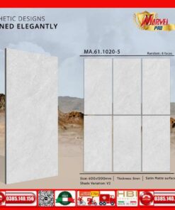 Gạch 60x120 Apodio MA611020