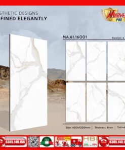 Gạch 60x120 Apodio MA6116001