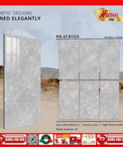 Gạch 60x120 Apodio MA618006