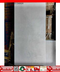 Gạch 60x120 Taicera G12MXGR Granite mờ xám