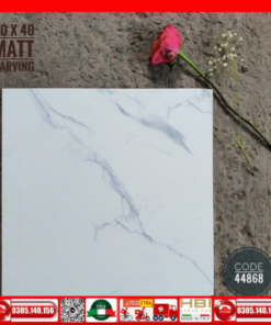 Gạch lát 40x40 Apodio 44868