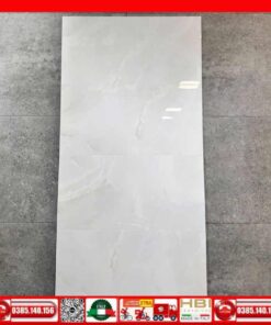 Gạch 40x80 Apodio A48OA8022