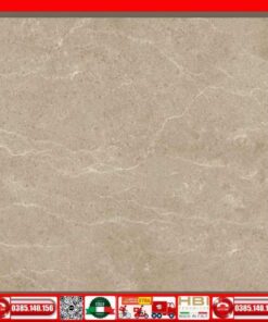 Gạch 60x60 Apodio 1566MB509 dày 15 ly