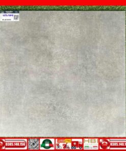 Gạch 60x60 Apodio 66464004 xám mờ mịn