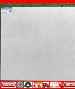 Gạch 60x60 Apodio 66465004 xám mịn