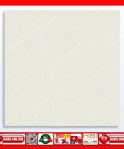 Gạch 60x60 Thắng Cường GA6701