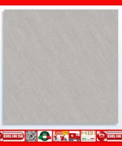 Gạch 60x60 Thắng Cường GA6704