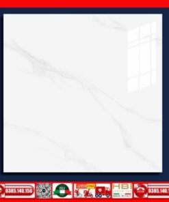 Gạch 60x60 Thắng Cường STA6311
